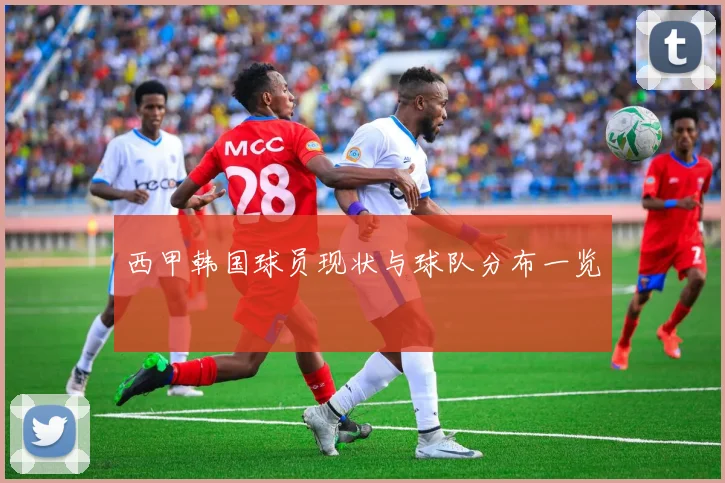 西甲韩国球员现状与球队分布一览