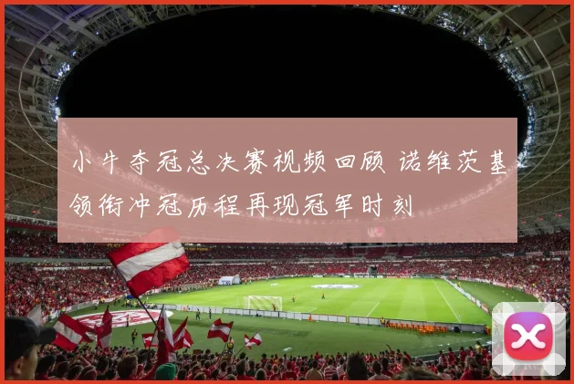 小牛夺冠总决赛视频回顾 诺维茨基领衔冲冠历程再现冠军时刻
