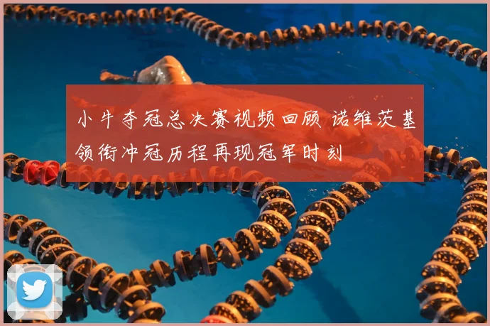 小牛夺冠总决赛视频回顾 诺维茨基领衔冲冠历程再现冠军时刻