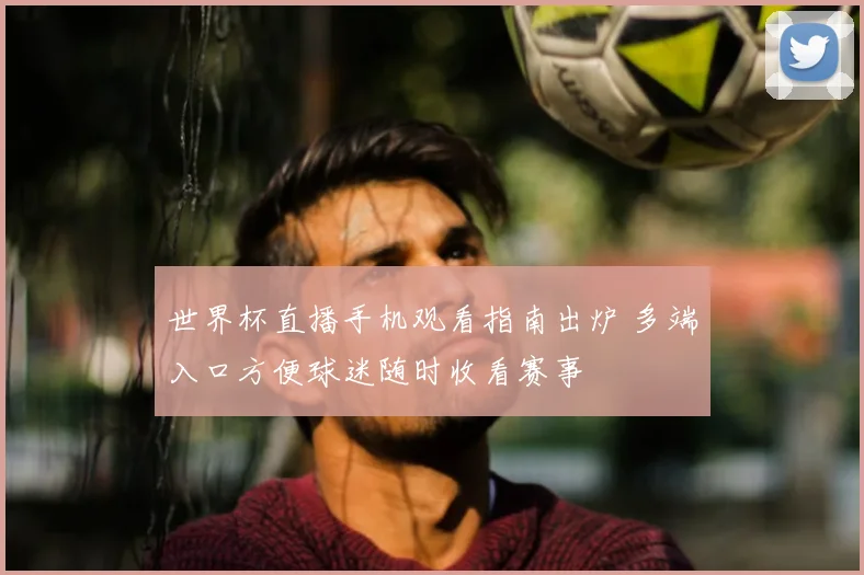 世界杯直播手机观看指南出炉 多端入口方便球迷随时收看赛事
